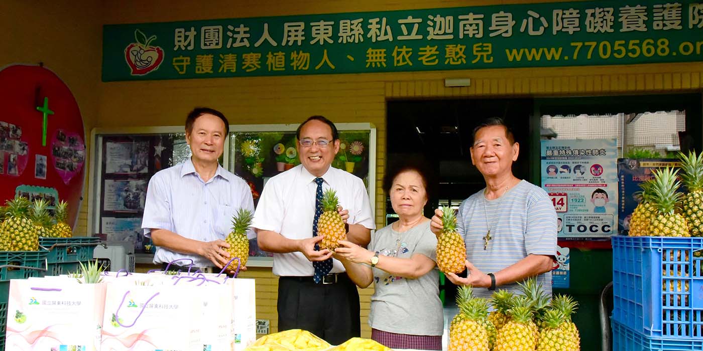 智慧農業中心友善鳳梨大豐收 樂分享迦南養護院