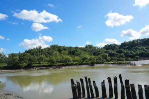 屏科大配合農業部農村發展及水土保持署臺南分署辦理「水土保持園區農塘改善工程」，進行校內靜思湖清淤與生態保育行動