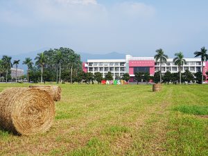 本校蟬聯「2025世界綠色大學評比」全國冠軍12年