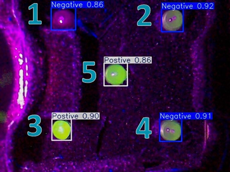 研發團隊進一步導入人工智慧(AI)深度學習模型進行影像判讀，經實驗證實，該模型準確率達0.953、召回率達0.972
