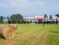 本校蟬聯「2025世界綠色大學評比」全國冠軍12年