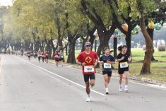 本次賽事設有學生男女子組及教職員男女子甲、乙組，規劃5公里與3公里兩種路線，採用晶片計時系統以確保競賽的專業與公平